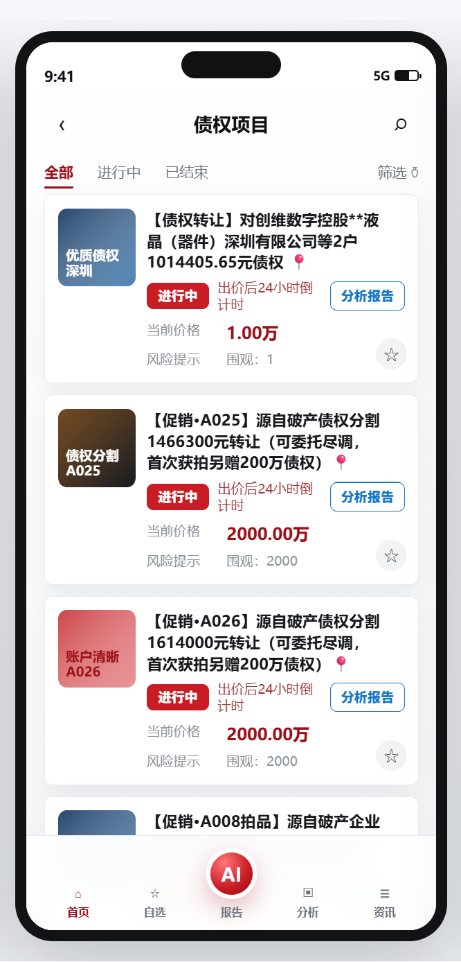 债权项目与风险分析